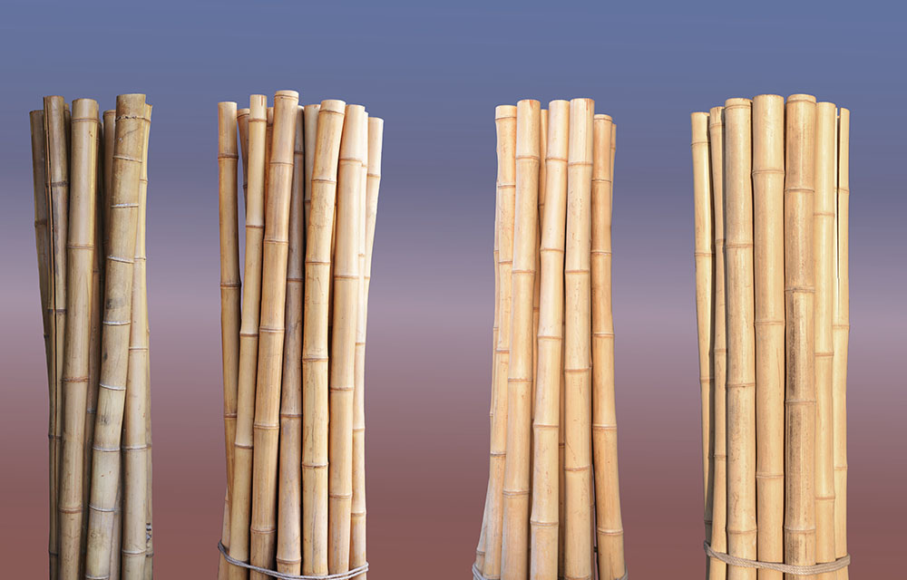 Preview bambus2.jpg