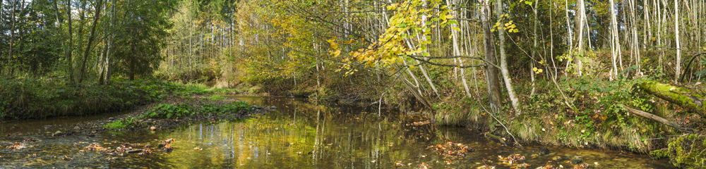 Preview Herbst_Fluss_DER.jpg
